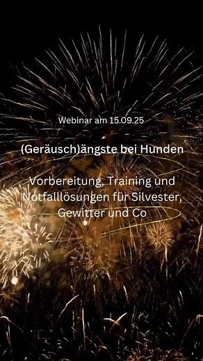 Hannah Rohde | Hundetraining & Verhaltensberatung on Instagram: "Webinar zum Thema Geräuschangst bei Hunden: Ausdrucksverhalten, Umgang mit Angst und Management Im Vortrag thematisieren wir die Angst vor Feuerwerk, den Umgang mit Gewitterangst und besprechen Strategien für die Bewältigung anderer (Geräusch)ängste. Die Inhalte des zweistündigen Webinars umfassen: Klärung wichtiger Begriffe: Was ist Angst? Was sind Befürchtungen? Angst erkennen: Ausdrucksverhalten und Körpersprache des Hundes in e