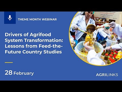 Drivers of Agrifood System Transformation: Lessons from Feed-the-Future Country Studies
