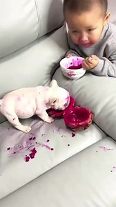 🤣🤣 | Dog World