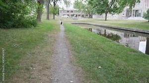 Child running in outdoor garden. Slow motion video of child running at outside home garden. Camera moving forward and kid running towards camera with a stick in his hand.
