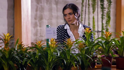 El regreso de Lucas - trailer último