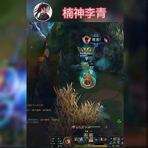 Some next level pro Lee Sin | League of Legends Funny Videos