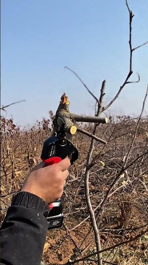 Apple Tree Pruning Shears - Clean & Precise Cuts for Healthy Growth
