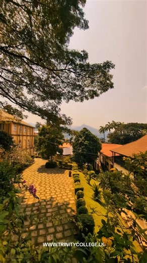 Trinity College Kandy on Instagram: "Golden Sunday view! 🍃"