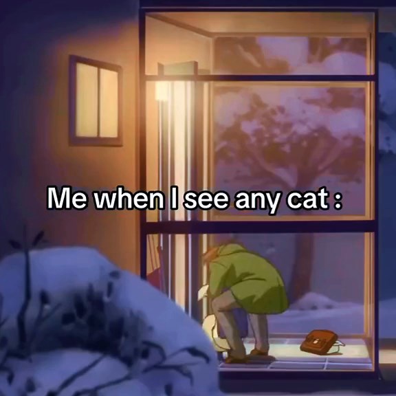 Funny Cat Anime Memes Compilation