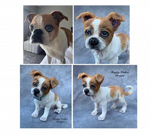 Custom Made Dog, Life Size, Dog Replica, Poseable, Soft Sculpture, Realistic Dog, Custom Plush Dog, Pet Memorial, Pet Loss Gift, Pet Replica - Etsy UK