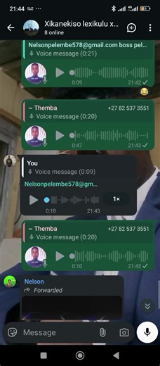 bra zaka (@bra.zaka)’s videos with original sound - bra zaka
