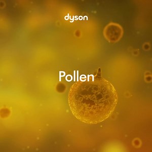Utvecklad för allergisäsongen. Andas renare luft med de senaste Dyson-luftrenarna. | Dyson
