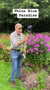 Phlox “Blue Paradise “ fragrant flowers for months and lasts for years . Planting time is from now ,available in webshop https://pergolanurseries.ecwid.com ALL IRELAND DELIVERY 🚚 WEBSHOP https://pergolanurseries.ecwid.com Pergola Nurseries Garden Corner,Virginia,Co Cavan A gardeners oasis of quality plants Open Tuesday to Saturday 10.30-6 Open Sundays 2-6 | Pergola Nurseries Garden Corner