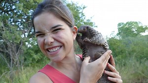 Anna, Nina, Pia und die wilden Tiere: Das Tannenzapfentier