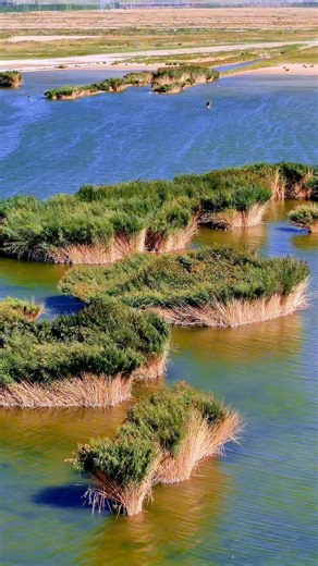 16K views · 500 reactions | 中國甘肅省酒泉市，瓜州縣鄉村風光。 Rural scenery in Guazhou County, Jiuquan City, Gansu Province, China. | 爱摄影的老甘 | Facebook