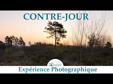 Comment réussir ses photos à contre-jour | Tuto Photographie