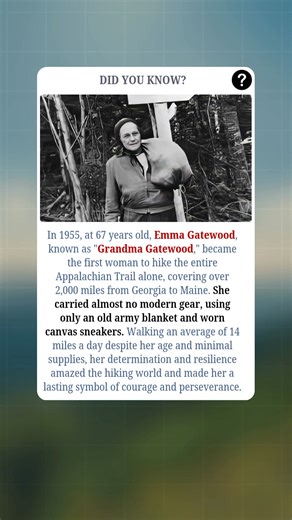 In 1955, 67-year-old Emma Gatewood, famously known as "Grandma Gatewood," became the first woman to hike the entire Appalachian Trail alone, covering over 2,000 miles from Georgia to Maine. She carried almost no modern gear, relying only on an old army blanket and worn canvas sneakers. Despite her age and minimal supplies, she walked an average of 14 miles a day, impressing the hiking world with her determination, resilience, and courage. Her incredible journey turned her into a lasting symbol o