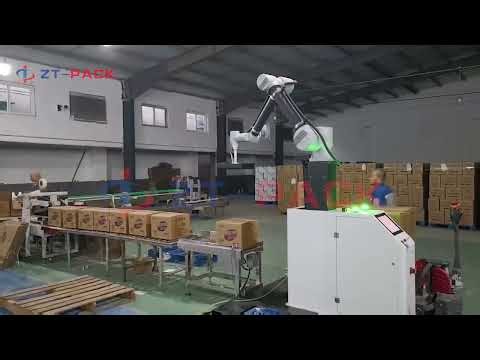 Palletizer Collaborative Robot For Carton Boxes Packages put onto pallets