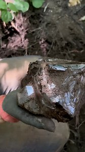 Giant Crystal has a face! Skeletal #Squid #Monster Herkimer Mountain #Incredible #Finds #outdooradventures #epic #Adventure | Liz of Herkimer Diamonds