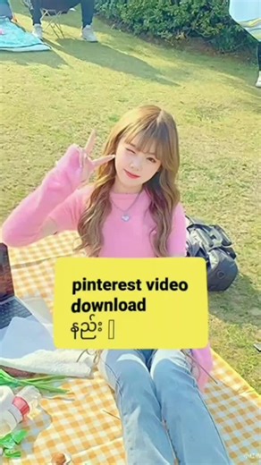 How to Download Pinterest Video - Easy Tutorial for Saving Videos