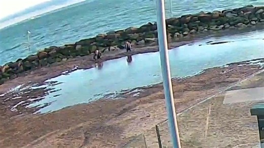 Treibsand: Mutter und Tochter sinken am Strand in Essex ein