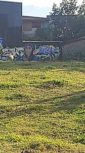 21K views · 572 reactions | Day 5 in our Dream Store... | Mike Swift | Facebook