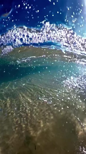 Relaxing Nature Therapy: Unwind with GoPro