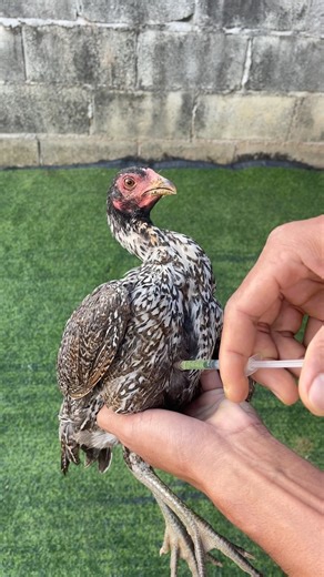 How to inject medication #videoshort #short #video #youtubeshort #youtube