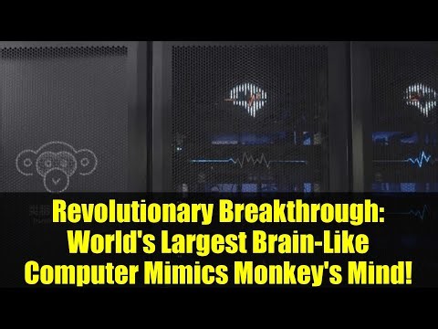 Revolutionary Breakthrough: World's Largest Brain-Like Computer Mimics Monkey's Mind!