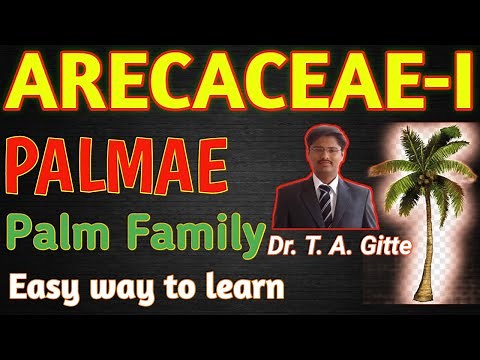 ARECACEAE FAMILY│Palmae Family│Palm Family│#Arecaceae│#Palmae│#palmfamily│#arecaceaefamilycharacter