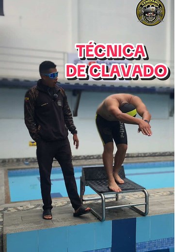 Técnicas de clavado en natación paso a paso