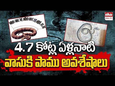 World's Largest Snake Fossil Found In Gujarat | Vasuki Indicus | Kutch | EHA TV