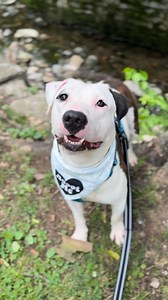 564 reactions · 194 shares | If you’ve ever thought about breaking a...