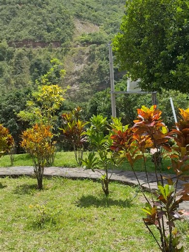 Esto… y cero tráfico, cero ruido, cero estrés 🌿✨ Solo naturaleza y descanso en Eco Terra Lodge 💚 #DesconexiónTotal #EscapadaPerfecta #CuscoTrip #lodge #cusco #hotelquillabamba #quillabamba #incajungletrek #machupicchu #hotelnaturaleza #hotel