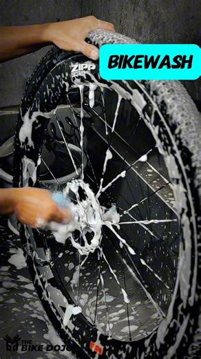 Dirty titanium gravel bike bikewash 💦 ✅ Whole bike & wheelset wash ✅ Tuneup ✅ Drivetrain degrease and cleaning ✅ Relube ✅ Frame wax ✅ Tire Black ----- P300 only #TheBikeDojo #bikewash #cleanbikehappybike | The Bike Dojo