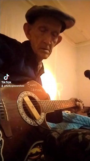 House of the Rising Sun #coversong #fyp