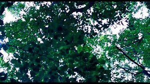 Lore 2012 720p HMAX WEB-DL DDP5 1 H 264 HUN M1974