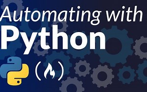 Python自动化办公神器openpyxl实战课程
