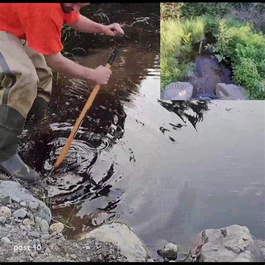 31K views · 622 reactions | Unclogging Disgusting Beaver Dam Made With Moose Poop | Post 10 | Facebook