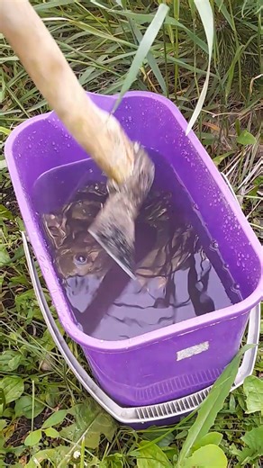 How to Fix a Loose Axe Head Easily