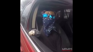 3.1M views · 21K reactions | patrullando | Memes Enfermizos | Facebook