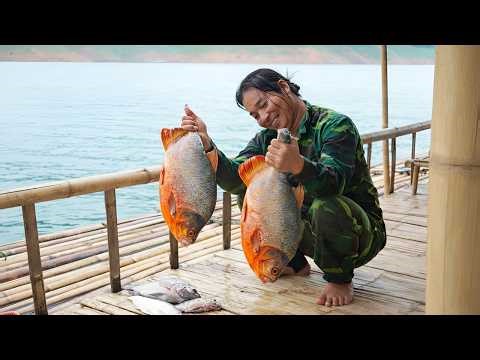Setting up nets to catch giant fish - Going into the forest alone to search for natural food
