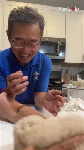 Dad Surprise with Puppy: Heartwarming Family Reaction || WooGlobe