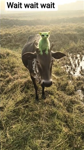 alien gay ke upar chad gaya hai