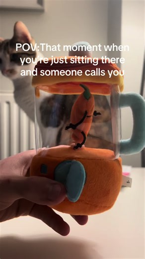 Funny Cat Reactions to Plushie Gifts