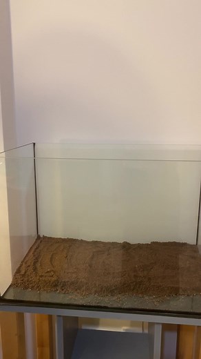 🌱⚫️JBL Manado DARK #meinjbl #myjbl #aquarium #manado #aquascape #healthyplants #happyplants #waterplants #freshwater #freshwateraquarium #substrate #howto #easytouse #hobbytime #fishhobby #bodengrund #dark #natureathome #copynature #timelapse #hyperlapse #aquascaping #natural #aquariumhobby #happyfish #happyfishkeeping #fyp | JBL