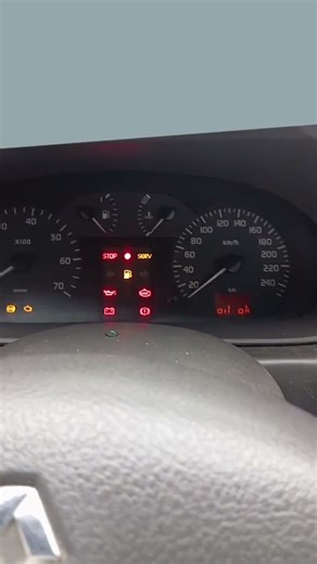 Renault Scenic 2002 1.6 16v hideg indítás. Szép napot mindenkinek!☺️