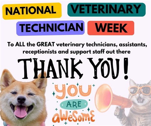 ✨ It’s National Veterinary Technician Week! ✨ October 12-18, 2025 I will always know and appreciate the value of veterinary technicians! Though it's not every day anymore that I get to work along side them, I always appreciate and am thankful when I do!💕 Don't forget to thank a vet tech this week! We often lump all the support staff into a week like this! So, thank you to all the great people out there showing up day in and day out even when it's not all puppies and kittens!🐾💚 #VetTechWeek #v