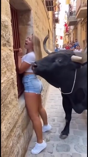 24K views · 35 reactions | She thought it was the end — but the bull stopped just inches away. What happened next? Nobody could believe it.  Sometimes, even the wildest creatures choose mercy over instinct.  Read the full story in the first comment. | David Benoit | Facebook