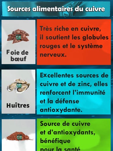 Sources alimentaires du cuivre Le cuivre est un oligo-élément essentiel impliqué dans la production d’énergie cellulaire, la formation du collagène, la synthèse de l’hémoglobine et la protection antioxydante. Une carence peut entraîner fatigue, baisse de l’immunité et troubles neurologiques. Foie de bœuf Source exceptionnelle de cuivre, il contribue à la formation des globules rouges et au bon fonctionnement du système nerveux. Huîtres Très riches en cuivre et en zinc, elles soutiennent l’immuni