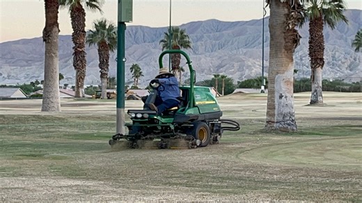 October heat causes concern for annual overseeding of golf courses