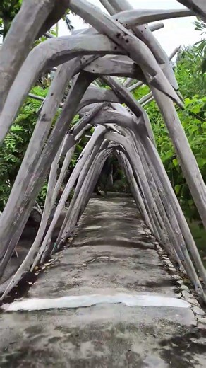 Mega resort Karimun Jawa Maldives Van Java Indonesia #domarfamily #jangkauanluas #karimunjawaisland