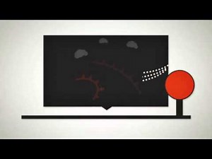 How can demographics help your business?