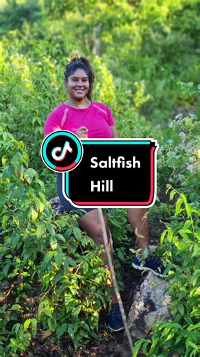 Started back exercising on Saltfish Hill on the St. Michael's Afroforestry Station in Tacarigua! #exercise #nature #outdoorworkout #trini_tiktoks